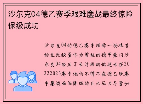 沙尔克04德乙赛季艰难鏖战最终惊险保级成功